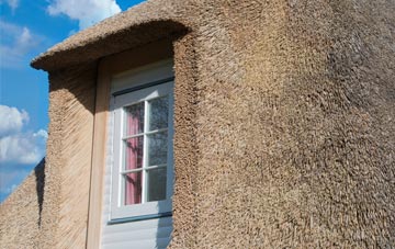 Brightley thatch roof disadvantages